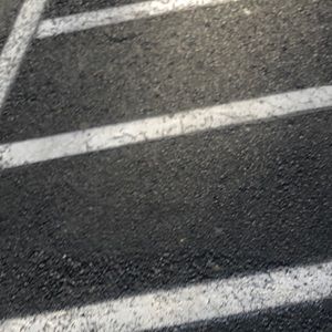 Meet your Posher, Wyatt